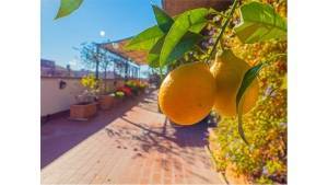 Agenzia Prima Immobiliare Perugia
